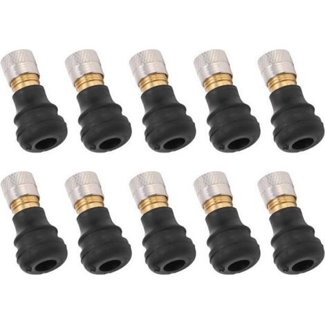Scooter électrique Tubeless Tire Valve 10PCS Scooter électrique Tubeless Tire Vacuum Valve 2cm Long for M365 moto pneu (1/4)