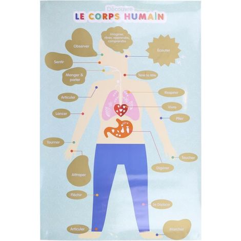Paris Prix – Poster à gratter pour enfant corps humain 60cm bleu – Papier – Apprentissage anatomique – Décoration éducative