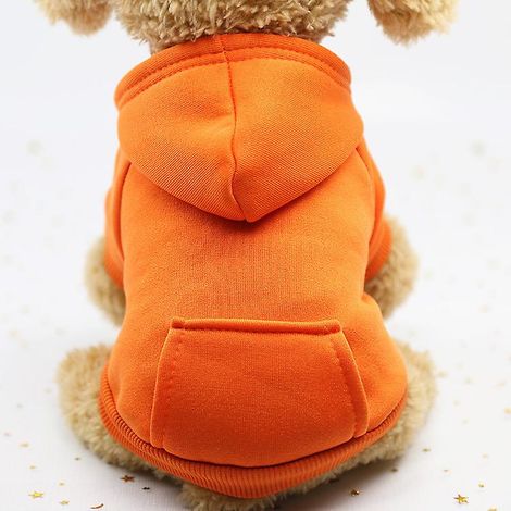 Vêtements de sport orange pour chats et chiens, accessoires pour animaux de compagnie - Taille L (1/5)