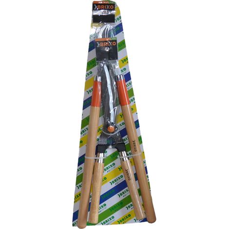 FORBICI SIEPE BRIXO BASIC REGOLAB. CM50