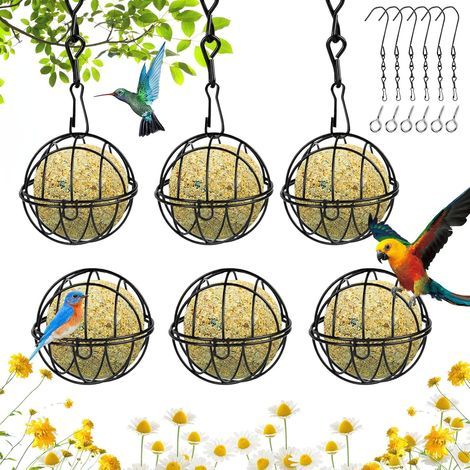 Mangeoire suspendue pour oiseaux d'extérieur - Lot de 6 avec crochets en S, boule de graisse en métal pour oiseaux sauvages - pour jardin, maison et cour (1/5)