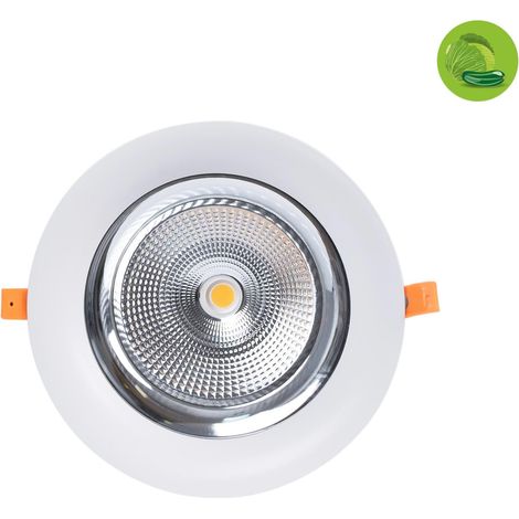 Downlight LED Especial Para Verdulerías - 40W - Driver Philips -