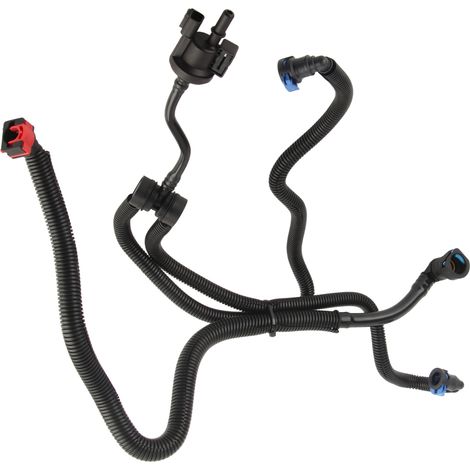 Tankentlüftungsventil CV6Z9D289B, kompatibles Ersatzteil für Transit Connect und Escape, Emissionskontrollventil, direkter Ersatz, 1 Stück, robust und langlebig. (1/5)