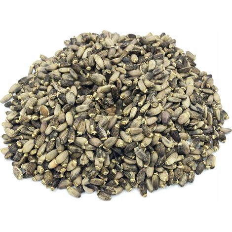 CARDO MARIANO SEMILLAS DE CARDO MARIANO 500 G 100%