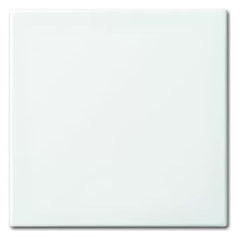 Busch-Jaeger 2546-914 Wippe anschraubbar (Halteelement) (1/2)