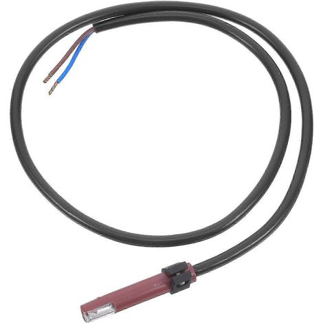 Sonde de flamme compatible avec les chaudières : La technologie de surveillance précise de l'alimentation en flamme améliore la sécurité des fours industriels. (1/5)