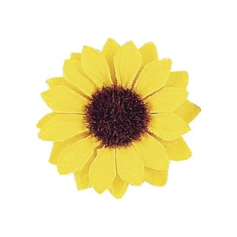 RAYHER - BOCCIOLI DI GIRASOLE 3,5CM 12PZ