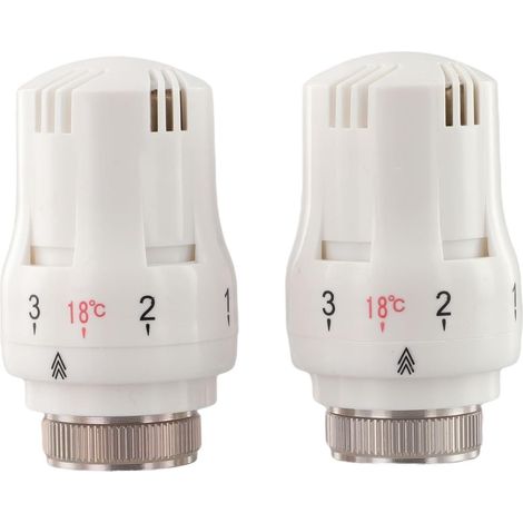 Lot de 2 robinets radiateur thermostatiques M30 x 1,5 avec contre (1/5)