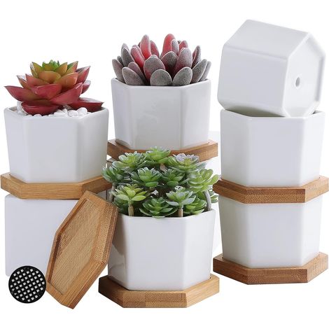 (6 pièces) Petit Pot de Fleurs en Céramique Pot Succulentes Céramique Blanc Mini Pots de Plantes Succulentes Parfait pour le Décor (1/5)