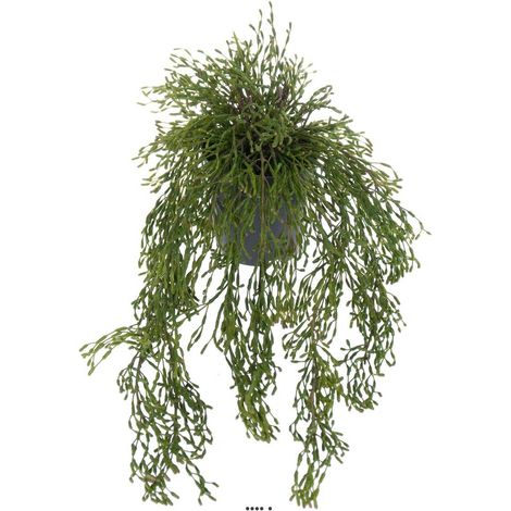 Rhipsalis artificiel, cactus gui feuillage dense, L 65 cm (1/3)
