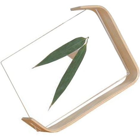 Kreativer Acryl-Fotorahmen in Naturholzfarbe, Schreibtischornament aus Massivholz, Fotorahmen für Trockenblumen und Pflanzenpräparate (1/5)