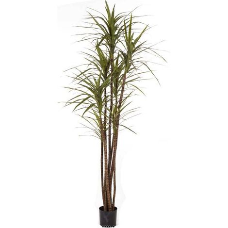 Dracaena magenta artificiel H 120 cm 141 feuilles en pot - dimhaut: H 120 cm - couleur: Vert