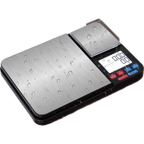 Balance de Cuisine Numérique, 10kg/1g et 500g/0,01g de Précision, Double Plateforme, 7 Unités de Pesée, Balance Alimentaire de Haute Précision avec Écran LCD Rétroéclairé, Fonction Tare