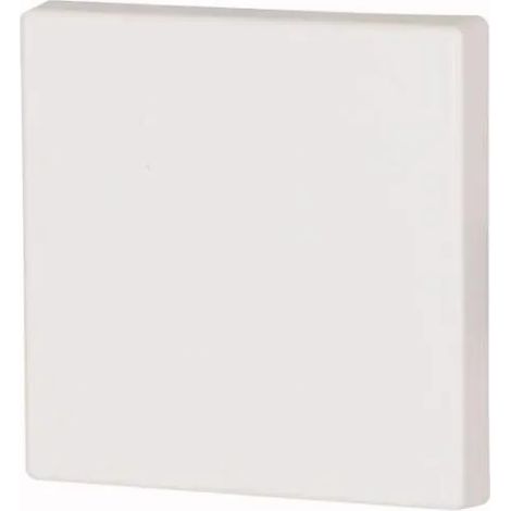 Interruptor Eaton cwiz-01/01 termoplástico IP20 brillante (1/2)