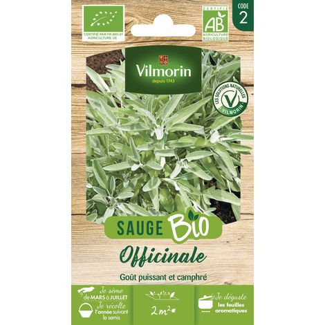 Sauge Officinale - BIO Vilmorin