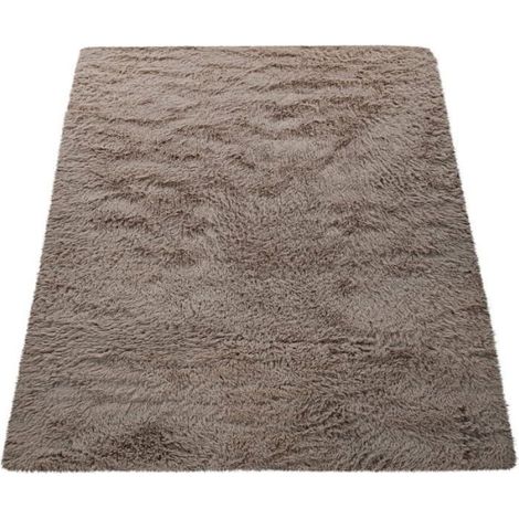 Paco Home Tapis Poils Longs Salon Shaggy Fausse Fourrure Fourrure Moelleux Beige Taupe Taupe 80x150 cm (1/5)