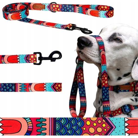 Correa estándar para pasear perros grandes de 20 kg a partir de 150 cm, marca Ukory, color rojo. (1/5)