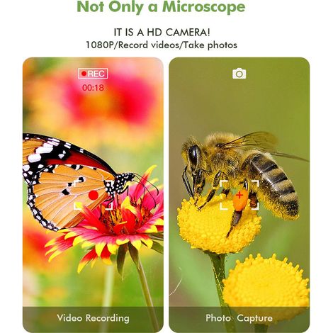 Microscope numérique WiFi HD 1080P 50-1000x grossissement sans fil endoscope caméra 8 LED avec support et étui portable, compatible iPhone iPad Android Mac Windows (1/4)