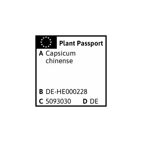 Quedlinburger Habanero Chocolate - Gemüsesamen (1/2)