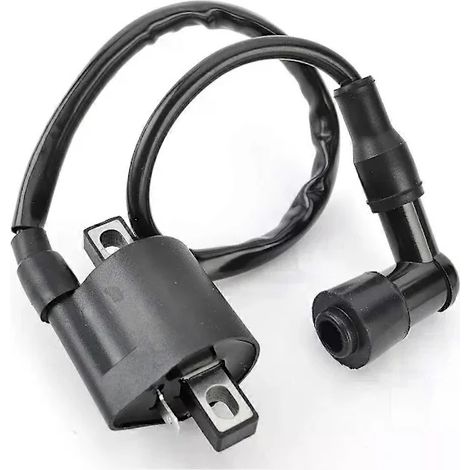Bobina di accensione per Yamaha YFM 250 350 80 125 450 600 660 400 50 Big Bear Grizzly Kodiak Raptor Wolverine Kymco MXU Mxer 125 150 (1/4)