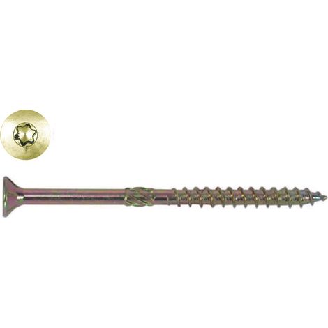 Vite portante prof tps 6X100 (pz100) (1/6)