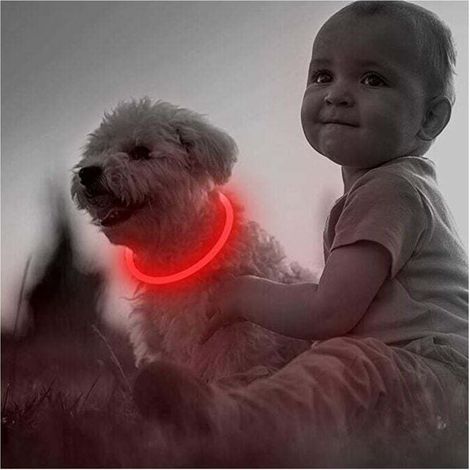 Collier pour chien LED rechargeable par USB pour la sécurité nocturne - Collier lumineux tendance pour chiens de petite, moyenne et grande taille (1 paquet, rouge, 50,8 cm) (1/5)