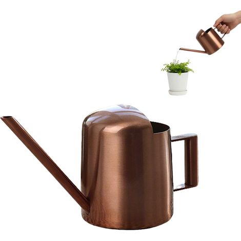 Mini-Gießkanne mit langem Ausguss für Pflanzen - 300 ml Edelstahl-Gartengießkanne (1/5)