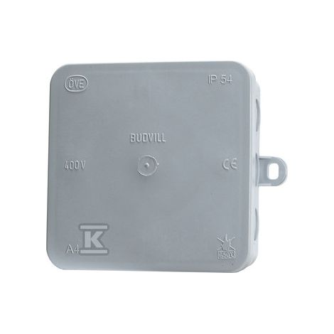 Boîte N/T A4 100X100X40 IP54
