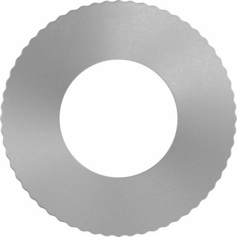 Bosch – Anneau de réduction pour lame de scie circulaire PRO 20 x 1,2 x 10 mm – Ajustement parfait pour lames avec trous variés – Coupe nette sans éclat
