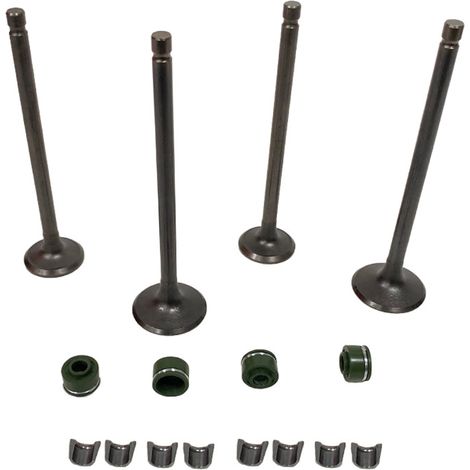 Joints d'étanchéité de soupapes de moteur de moto adaptés aux modèles Suzuki DR250, GN250, GZ250 et EN250. (1/4)