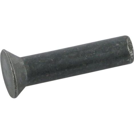 Rivet BECKER 200217313