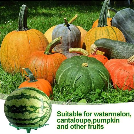 Support à pastèque, 10 pièces, berceau à Melon, fraise, citrouille, Support pour jardin et ferme - (1/4)