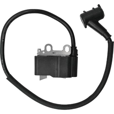 Bobine d'allumage A411001620, transformateur haute tension compatible avec EB600RT PB580T (1/4)