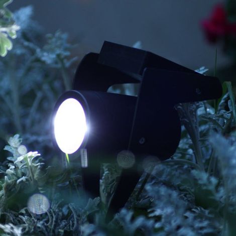 Spot solaire jardin 50 lumens (1/3)