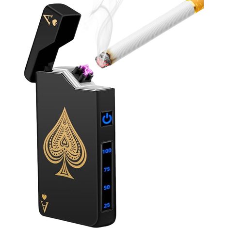 Briquet à arc électronique USB : Étanche et coupe-vent, rechargeable avec Type-C, Noir (1/5)