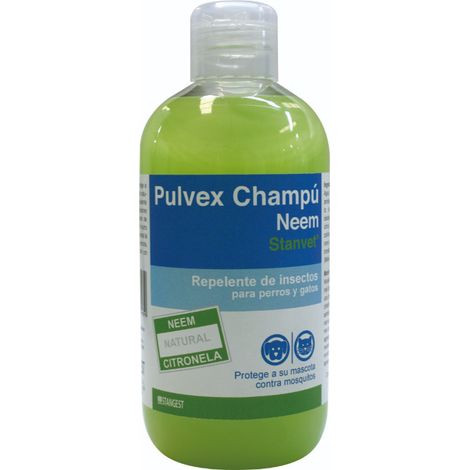 Pulvex shampu di Stangest 250ml