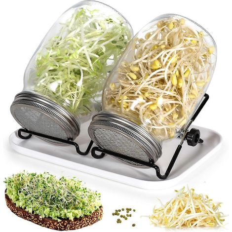 Germoir, 2 germoirs en verre de 1000 ml avec 2 couvercles à grille en acier inoxydable, 2 supports, 1 plateau, kit de germination pour brocoli, luzerne et haricots verts (1/5)