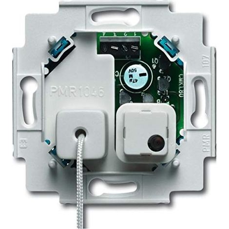 BUSCH-JAEGER 1520/1 UKZ-101 INTERRUPTEUR DE SIGNALISATION CONFORME À LA NORME DIN VDE 0834 2CKA001582A0430