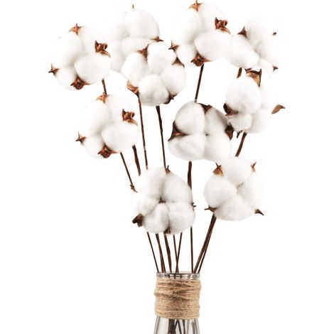 10 Tiges de coton, fleurettes naturelles, hauteur 42 cm, décor rustique, salon maison