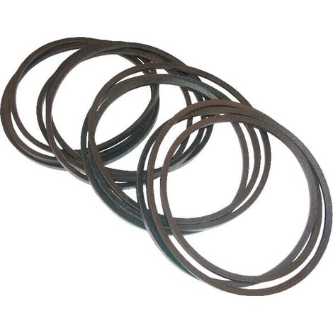Cinghia trapezoidale VICON VGND9704