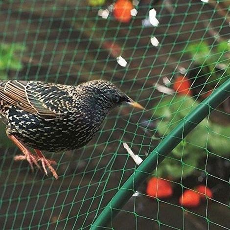 Vogelschutznetz - 4 x 10 m