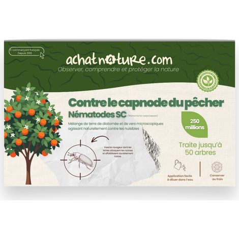 Nématodes SC contre capnode du pêcher - 250 millions - 50 arbres