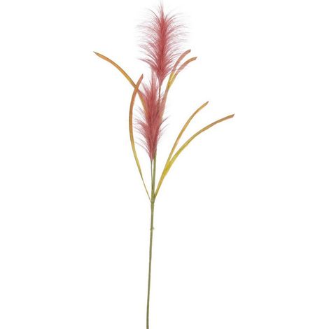 Ramo decorativo "Khali" Pampas color Rosso Ø 5 x h 85 cm
