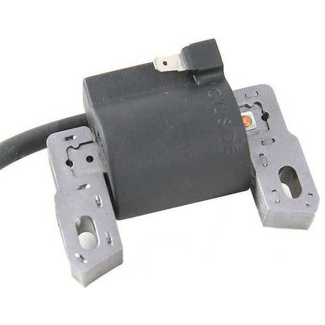 Bobine d\'allumage pour moteur Briggs & Stratton 590454 (1/3)