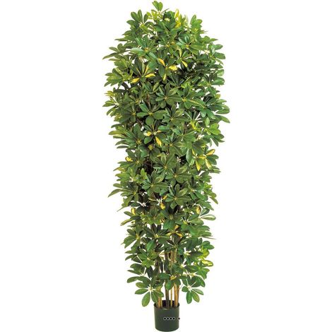 Schefflera artificiel en colonne en pot H 195 cm vert-jaune