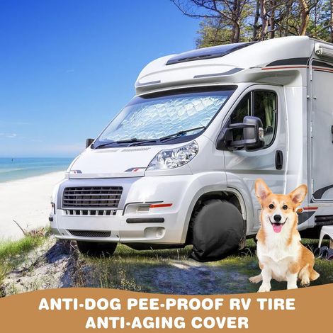 https://m.media-amazon.com/images/I/617r6uoc09L.ACSL1500.jpg