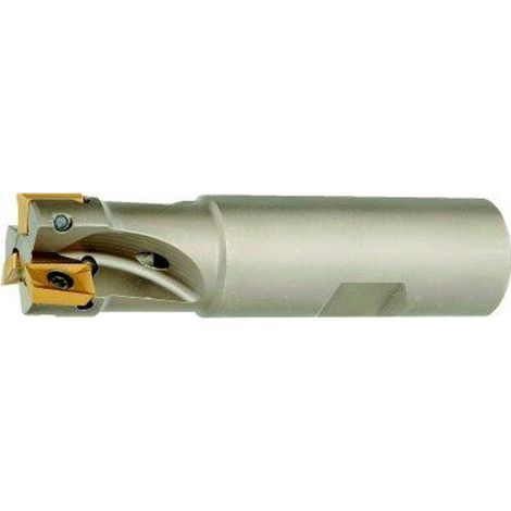 Fortis Eckfräser 90G D32mm, Z5, IK für AP.1003 (1/3)