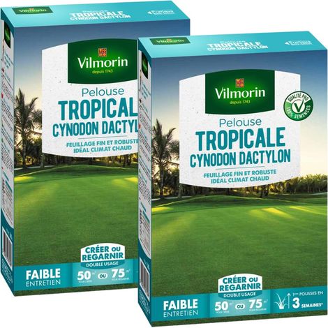 Pelouse Tropicale - Cynodon Dactylon - 500 g (x2) Vilmorin