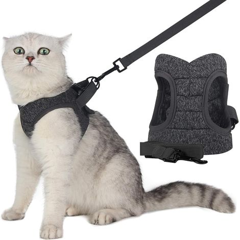 Veste de marche ajustable pour chat avec ceinture rétractable (M, gris)