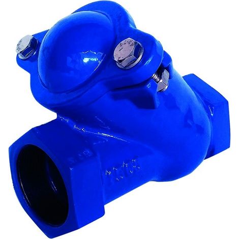 Clapet anti-retour à boule filetée 1" int.135mm
